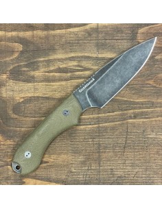 3D Guardian 4 - CPM-3V