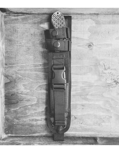 BLEM- Guardian 6- CPM-3V
