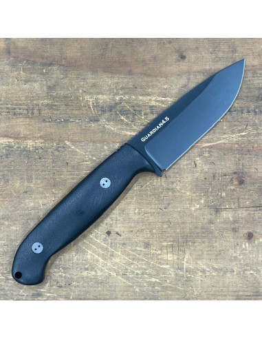3D Guardian 4.5 - CPM-3V